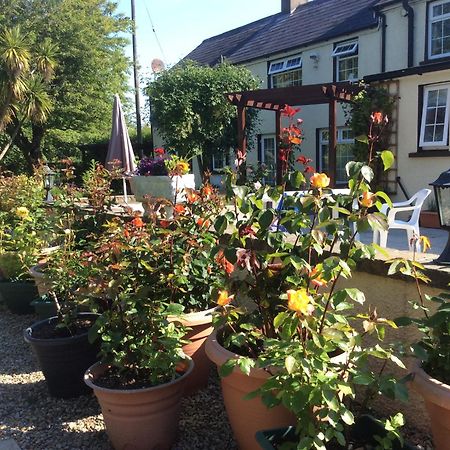 Old Mill House Bed & Breakfast Larne Dış mekan fotoğraf