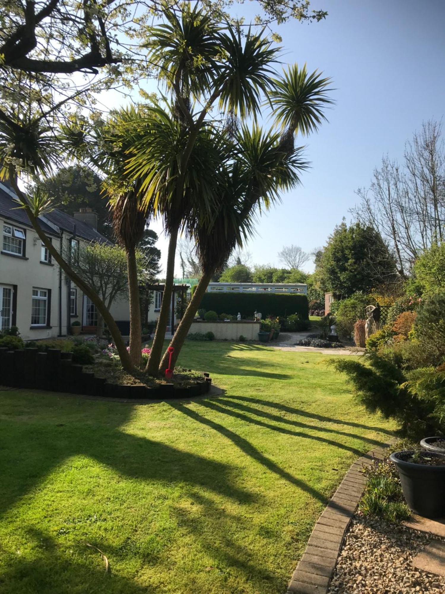 Old Mill House Bed & Breakfast Larne Dış mekan fotoğraf