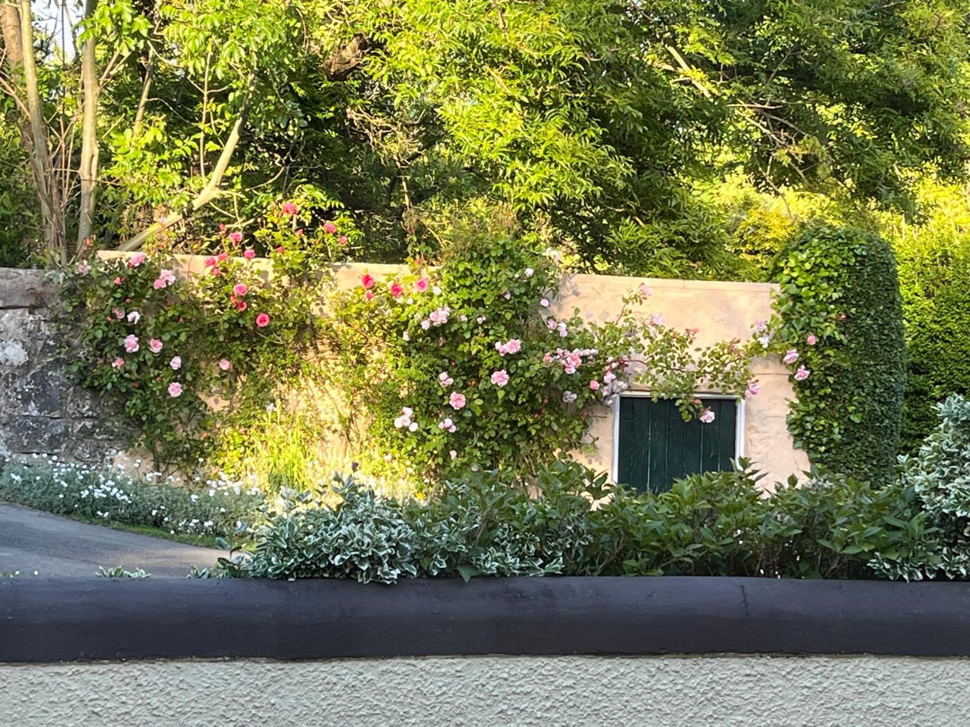 Old Mill House Bed & Breakfast Larne Dış mekan fotoğraf