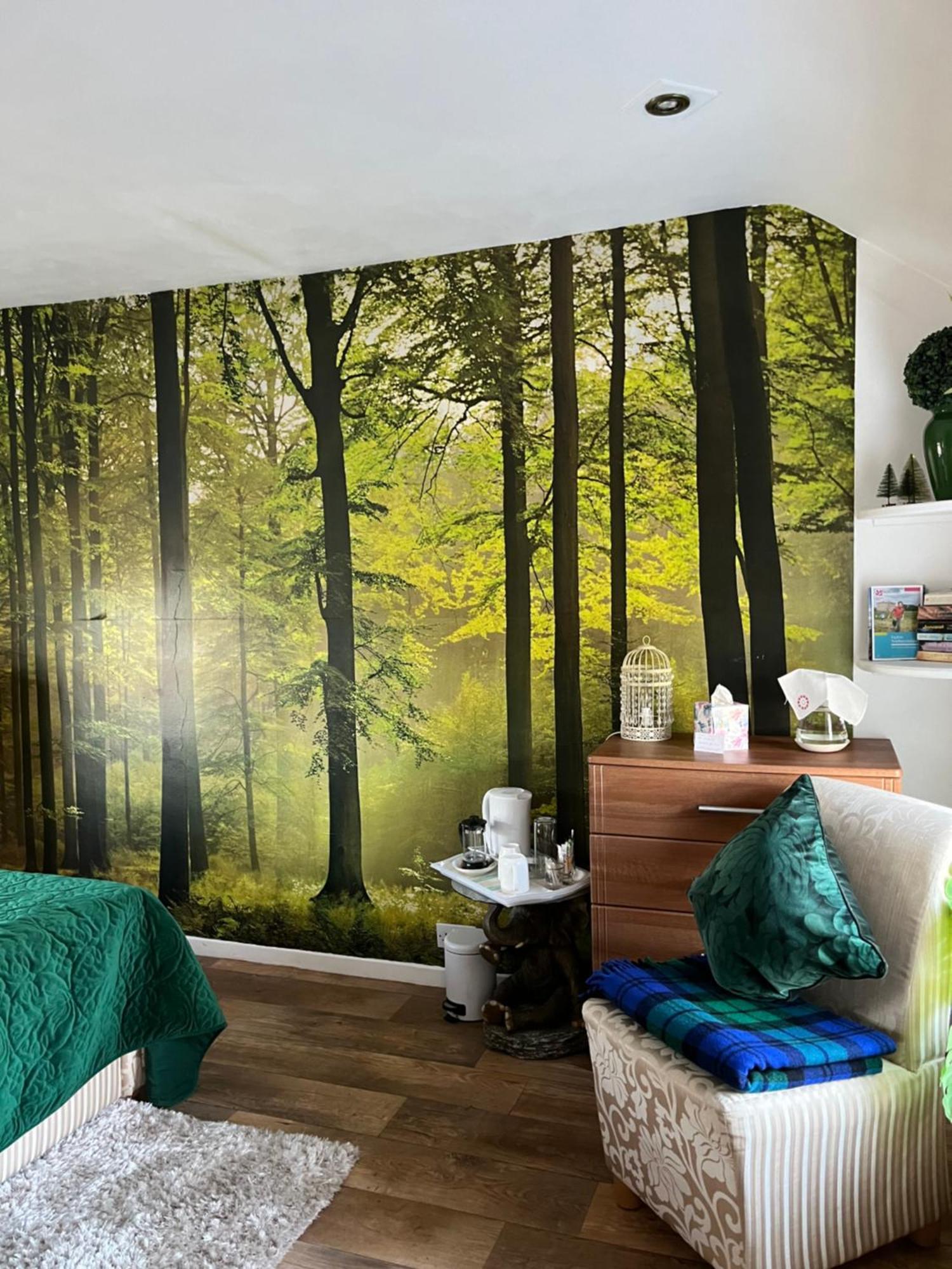 Old Mill House Bed & Breakfast Larne Dış mekan fotoğraf