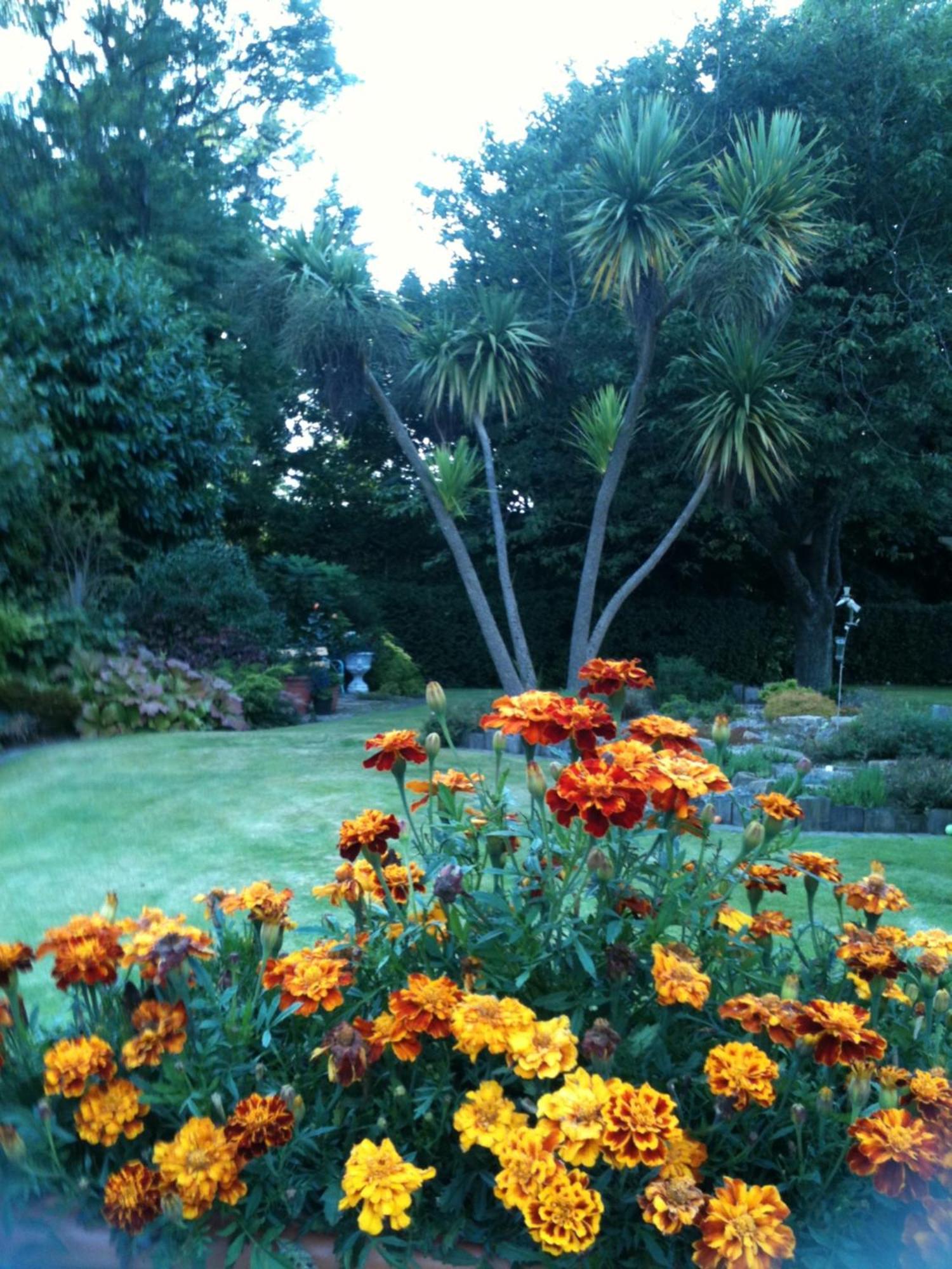 Old Mill House Bed & Breakfast Larne Dış mekan fotoğraf